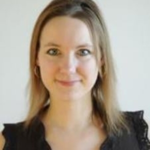  - Prof de fle - français langue étrangère - Villejuif