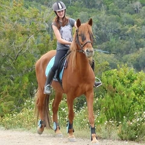 Clara - Prof d'équitation - Tordères