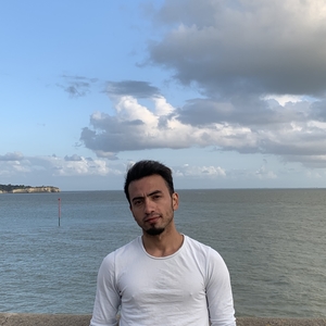 MOHAMAD - Prof d'arabe - Rennes
