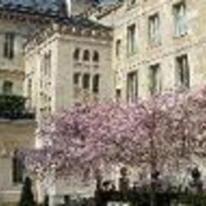Anais - Prof de maths - Paris