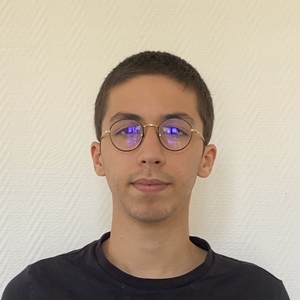 Homed - Prof de maths - Guichen