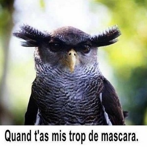 Fadila - Prof de développement personnel - Nîmes