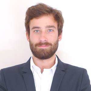 LOUIS - Prof d'aide aux devoirs - Paris