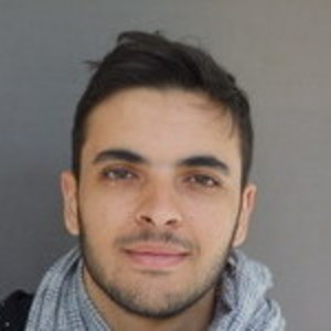 Mehdi - Prof de maths - Grenoble
