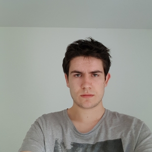 Vincent - Prof de maths - Rennes