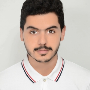 Hamza - Prof de maths - Herblay