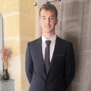 David - Prof de droit civil - Bordeaux
