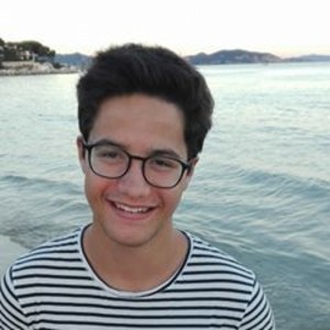 Guillaume - Prof de maths - Toulouse