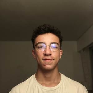 Louis - Prof de maths - Legé