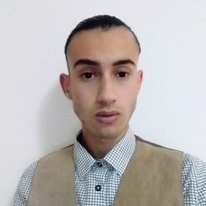 Brahim - Prof de maths - Valbonne (Sophia antipolis)