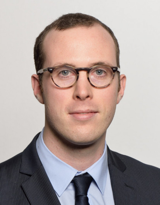 Stage intensif dissertation 08 image