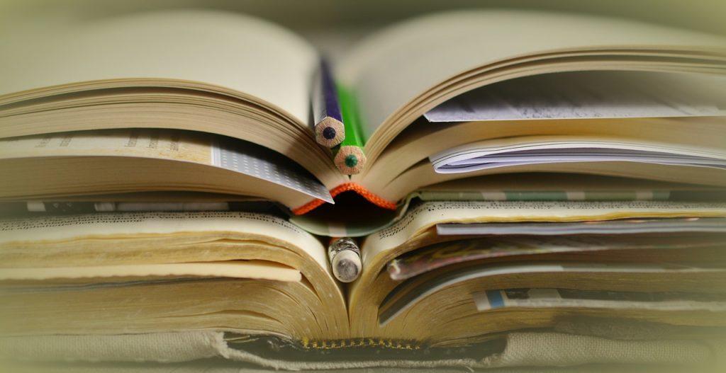L'ami Retrouvé Questionnaire De Lecture Corrigé 3eme