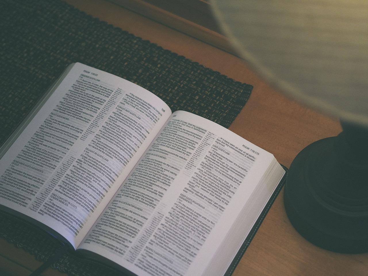Littérature 150 Textes Théoriques Et Critiques - Hachette Une