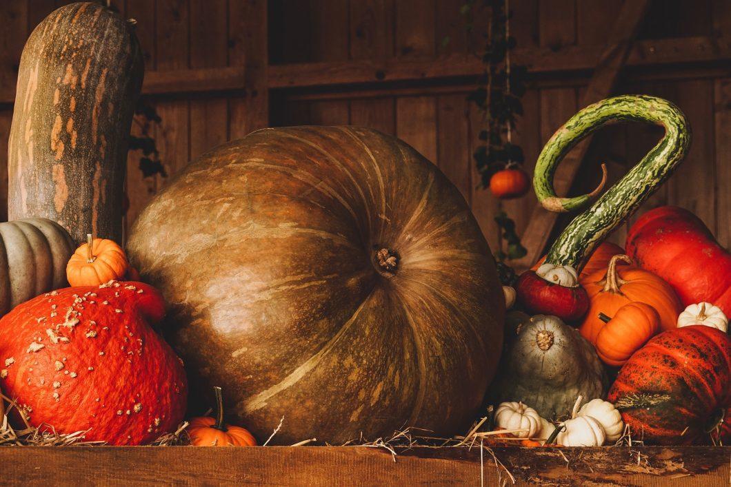 Le Gland et la Citrouille | Superprof