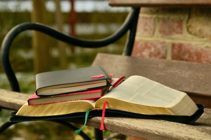 Fiche de Lecture : Louison et monsieur Molière | Superprof