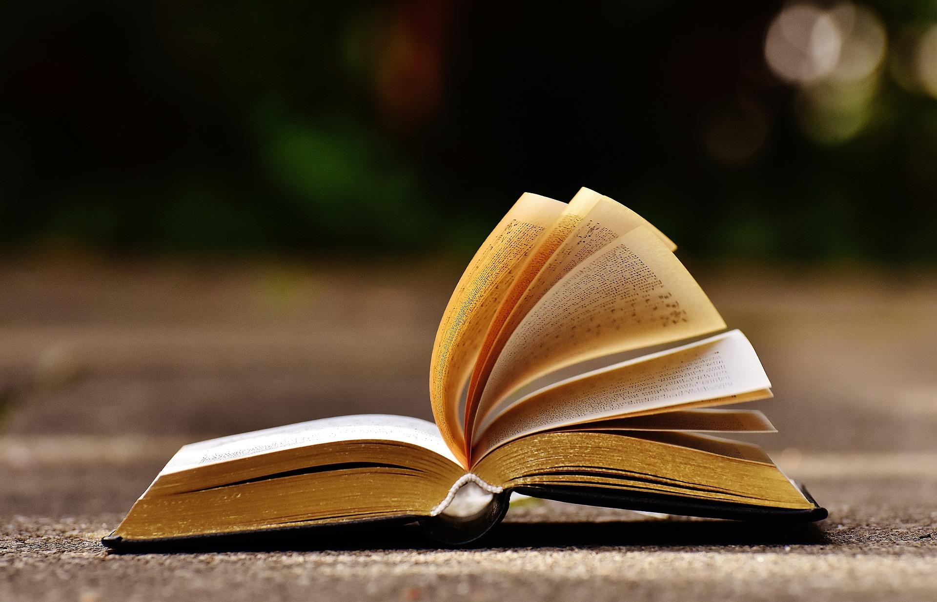 leurs yeux se rencontrèrent flaubert