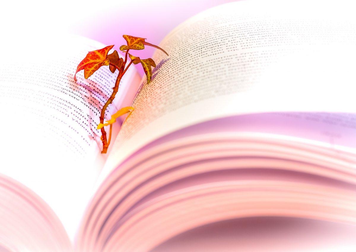 Une Charogne Superprof