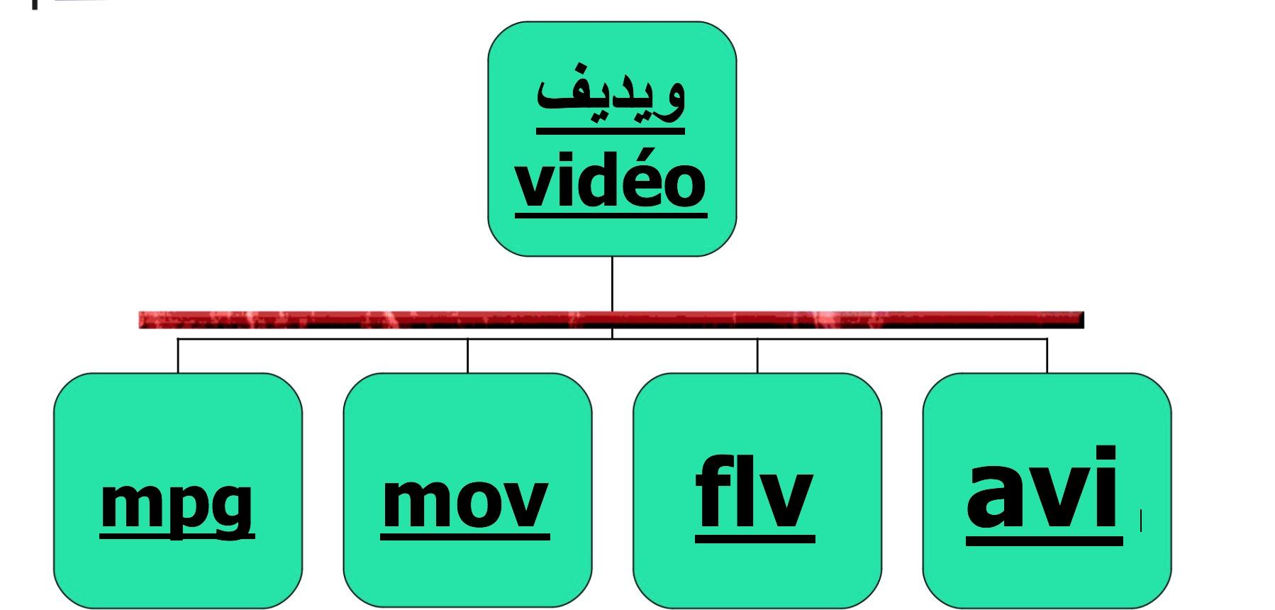 Extensions Correspondant à Un Fichier De Présentation LES DIFFERENTS TYPES DE FICHIERS ET LEUR EXTENSION EN DOCUMENT PDF BILINGUE  FRANÇAIS ARABE