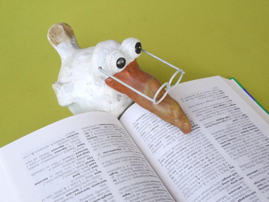 Téléchargement gratuit Images Lexique Des Termes A Connaitre En Philosophie Superprof actualisé salutations