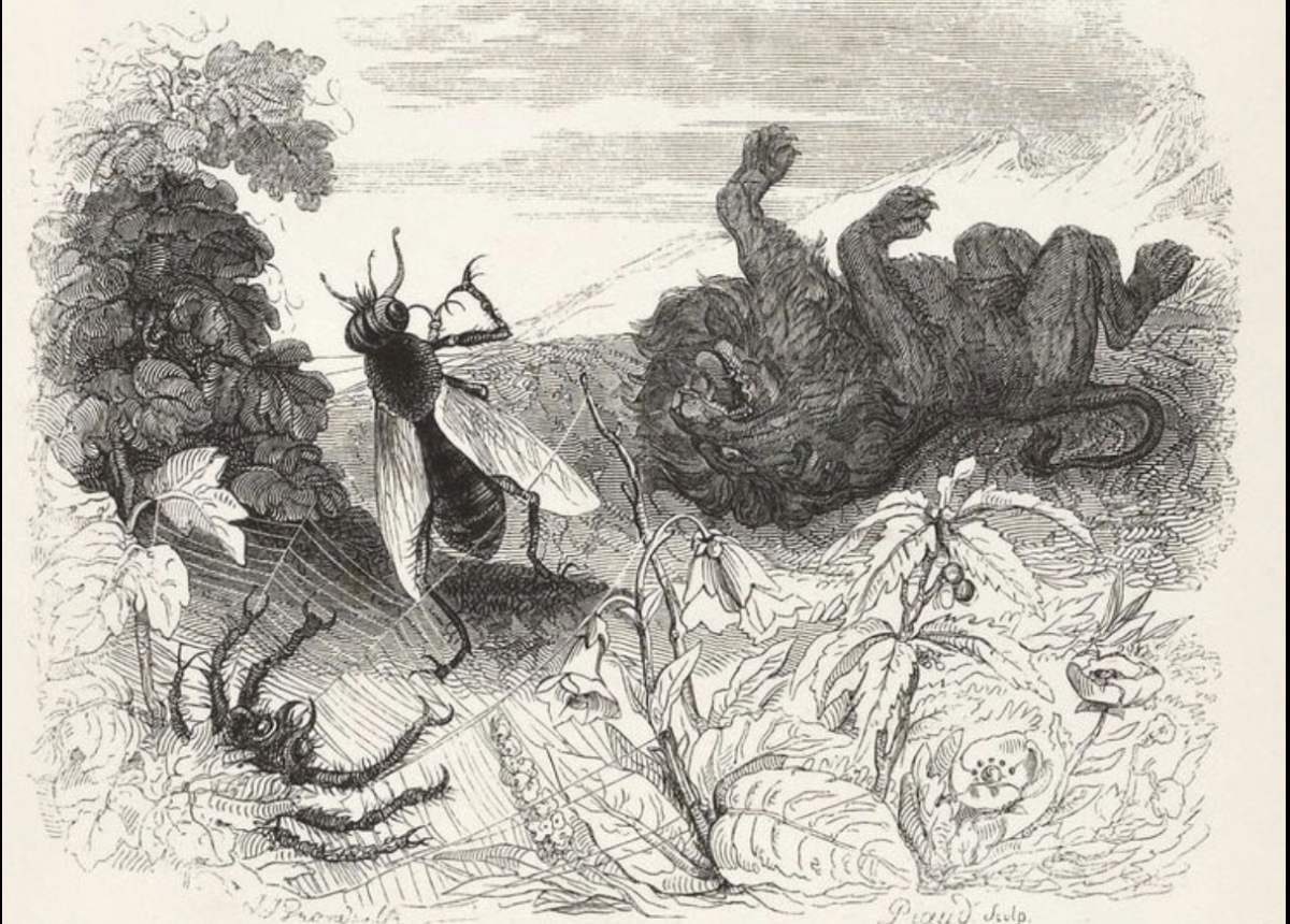 Le Lion et le moucheron, Fables, Jean de la Fontaine